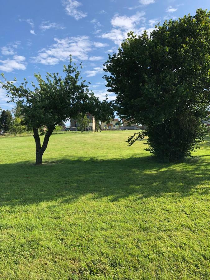 Villa The Walnut Tree Gite à Le Dorat Extérieur photo